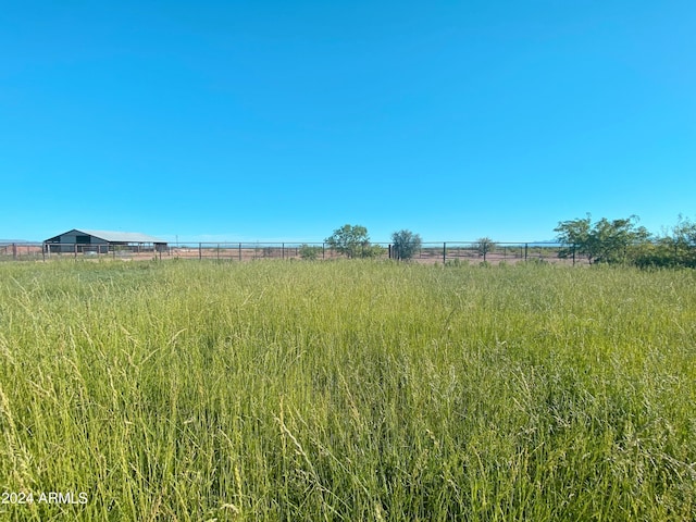 view of local wilderness with a rural view