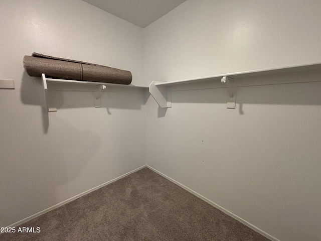 spacious closet with dark carpet