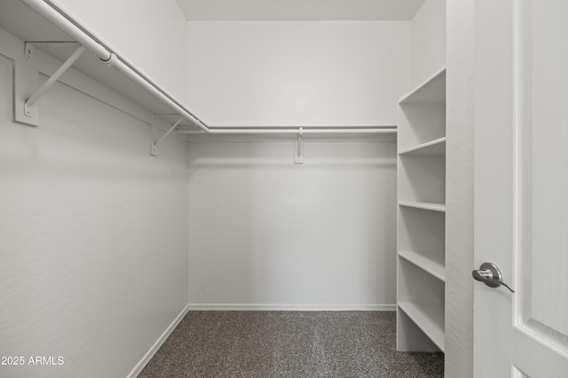 spacious closet featuring carpet flooring