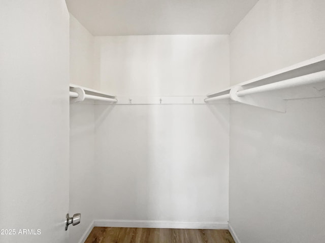 spacious closet with hardwood / wood-style flooring