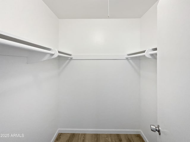 walk in closet with hardwood / wood-style flooring