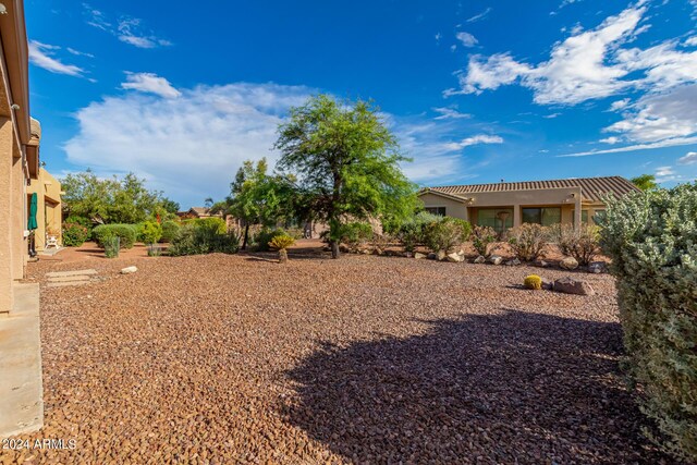 view of yard featuring a pergola