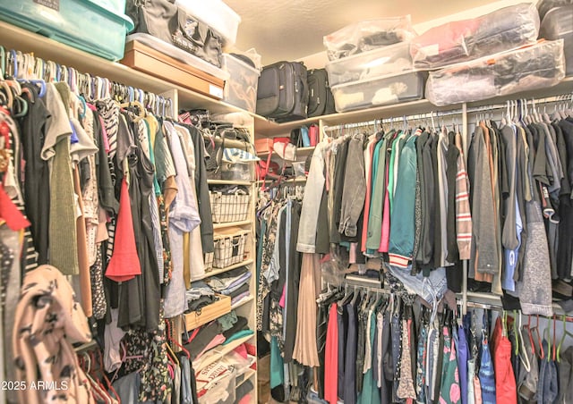 view of spacious closet