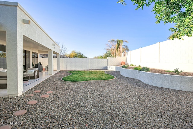 view of yard featuring a patio area