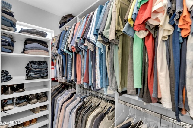 view of spacious closet