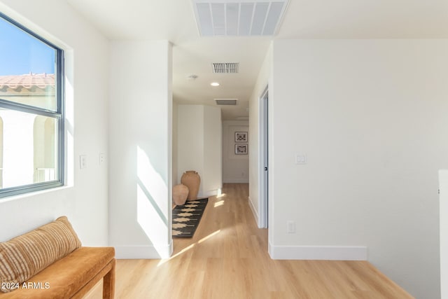 hall featuring light wood-type flooring and a wealth of natural light