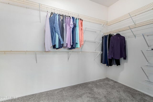 spacious closet with carpet floors