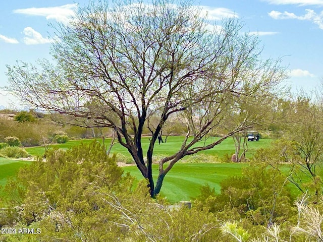 view of home's community with a yard