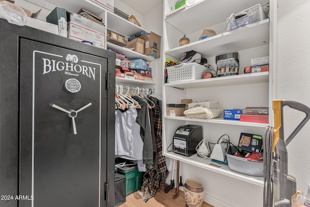 walk in closet featuring wood-type flooring