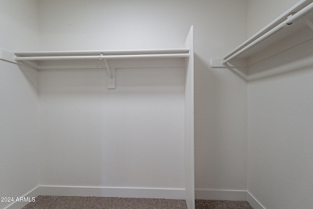 walk in closet with carpet flooring