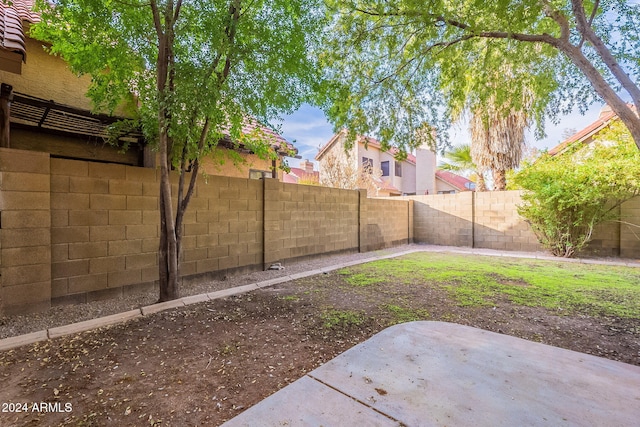 view of yard with a patio