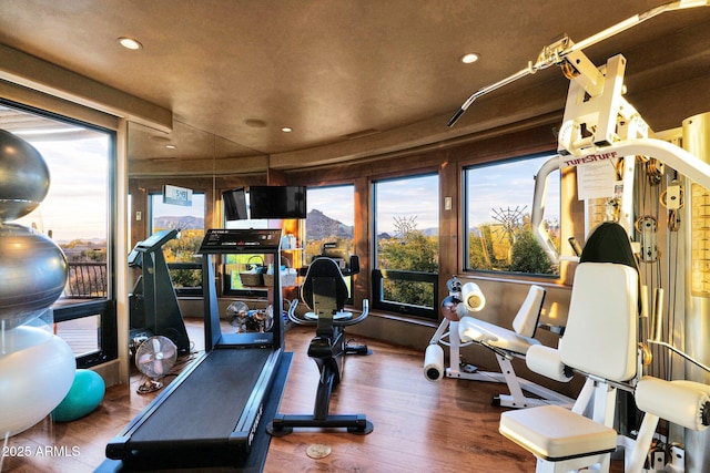 gym with dark hardwood / wood-style floors