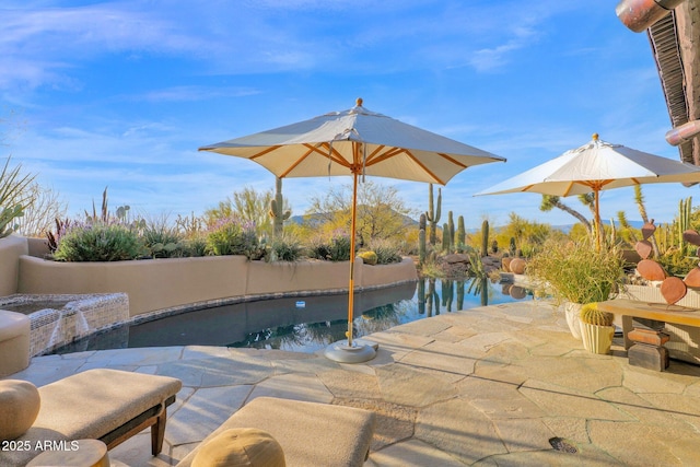 view of swimming pool featuring a patio