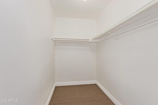 walk in closet featuring carpet floors