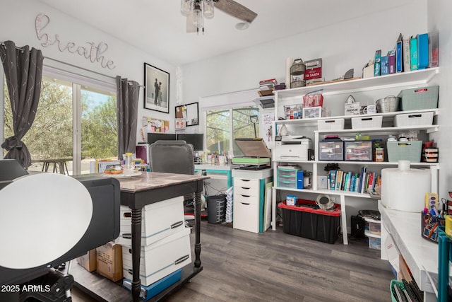 5321 N 196th Ave, Litchfield Park, AZ 85340 - office featuring a ceiling fan, healthy amount of natural light, and wood finished floors