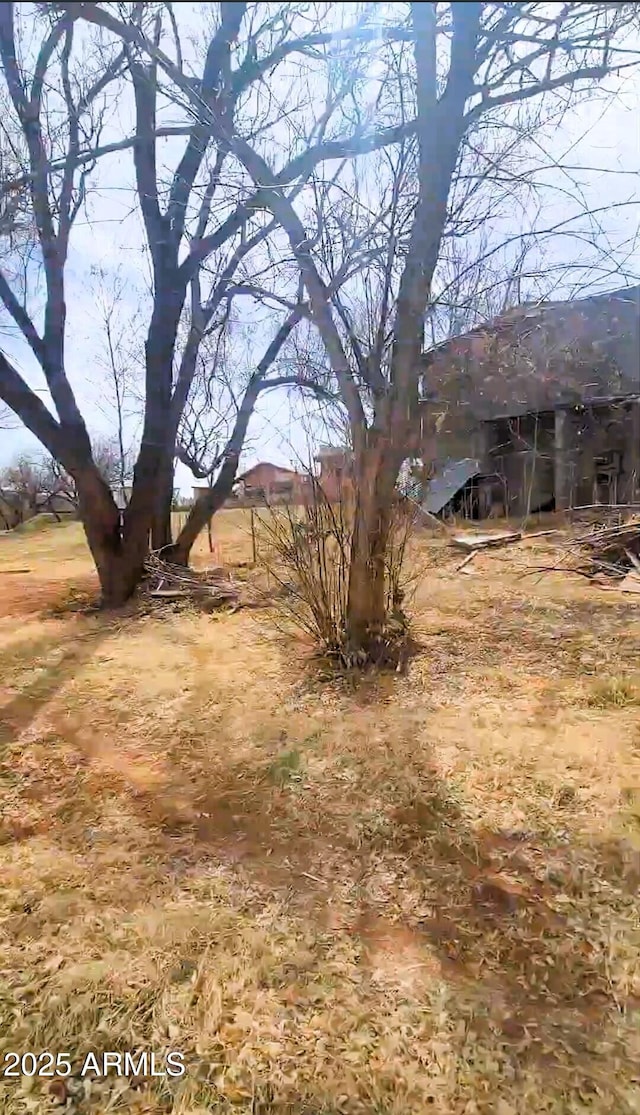 11150 E Clatterbuck Dr, Cornville, AZ 86325 - view of yard