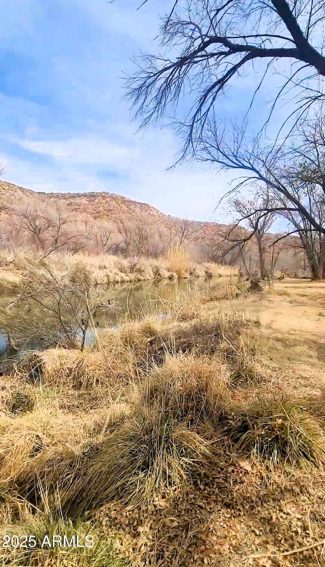 11150 E Clatterbuck Dr, Cornville, AZ 86325 - view of local wilderness with a mountainous background