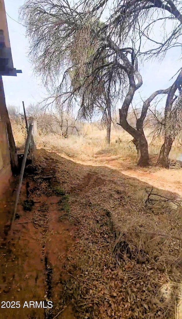11150 E Clatterbuck Dr, Cornville, AZ 86325 - view of yard