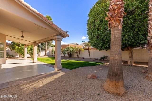 view of yard featuring a patio area and ceiling fan