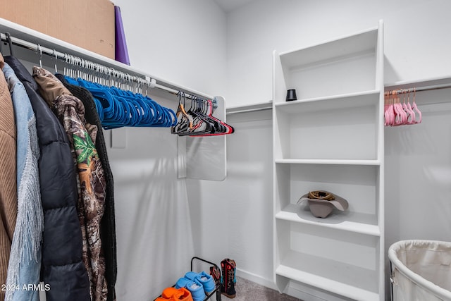 view of spacious closet