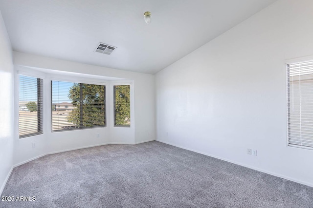 carpeted empty room with lofted ceiling and a healthy amount of sunlight