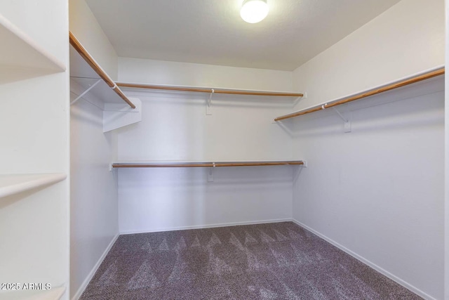 walk in closet with dark carpet