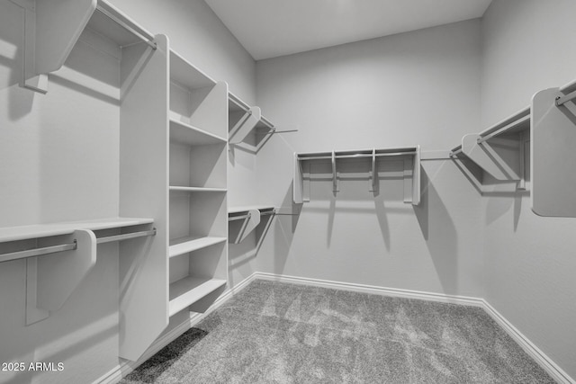 spacious closet featuring carpet flooring