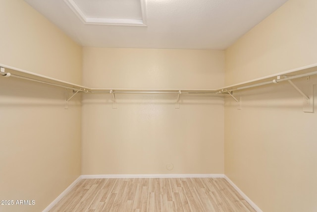 walk in closet featuring hardwood / wood-style floors