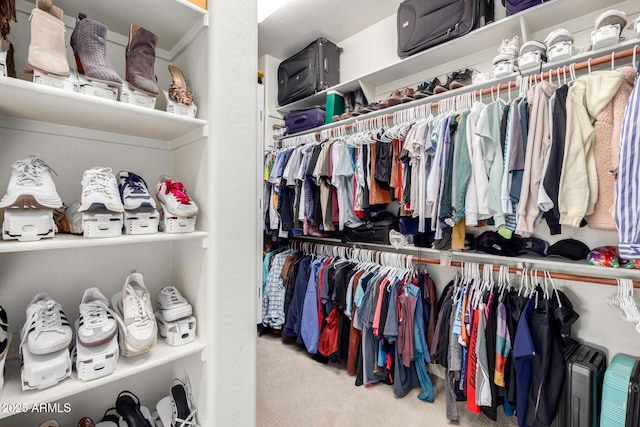 12834 W Forest Pleasant Pl, Peoria, AZ 85383 - spacious closet with carpet floors