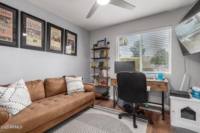 office area featuring ceiling fan and wood-type flooring