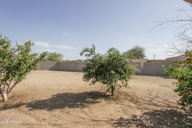 view of yard with a fenced backyard