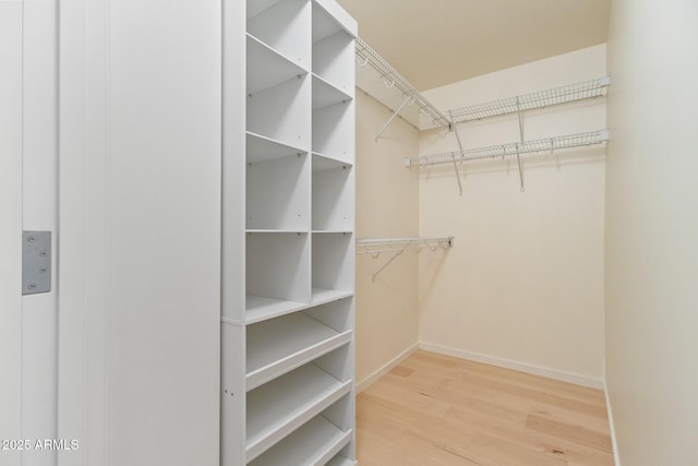 4808 N 24th St Unit 923, Phoenix, AZ 85016 - walk in closet featuring wood finished floors