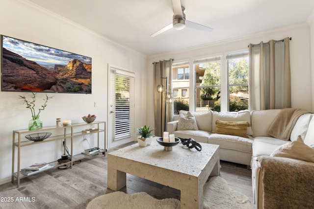 living room featuring ornamental molding, a wealth of natural light, and light wood-type flooring