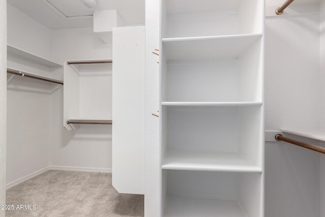 spacious closet with carpet flooring