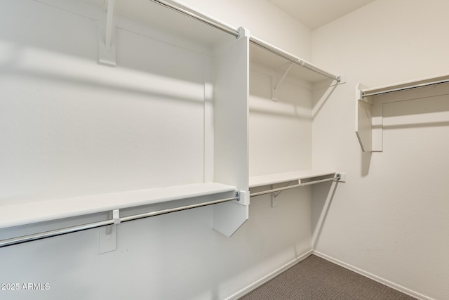 spacious closet with dark carpet