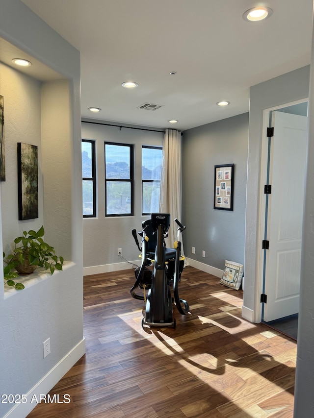 workout room featuring hardwood / wood-style floors