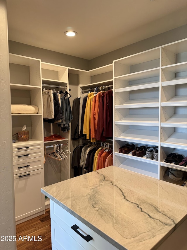 walk in closet with hardwood / wood-style flooring