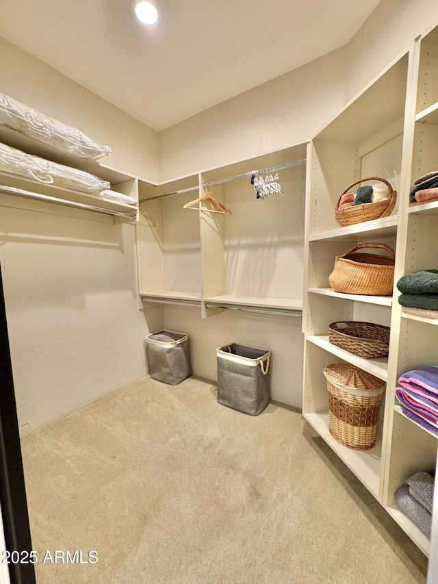 walk in closet featuring carpet flooring