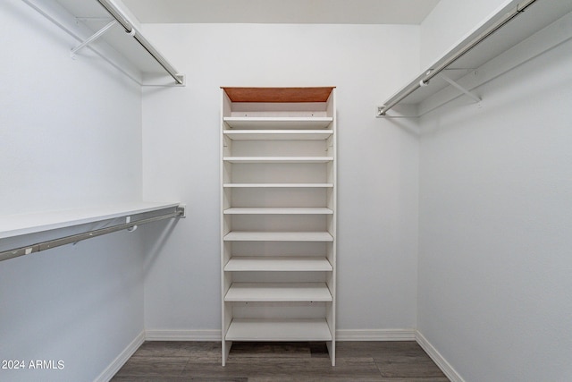 walk in closet featuring dark wood-type flooring