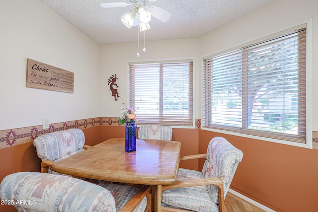 dining area with hardwood / wood-style floors, a wealth of natural light, and a textured ceiling