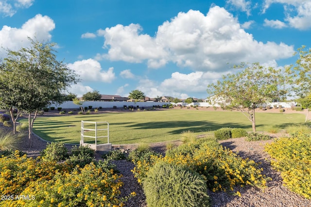 1294 E Ln Fortuna Ct, San Tan Valley, AZ 85140 - view of green lawn