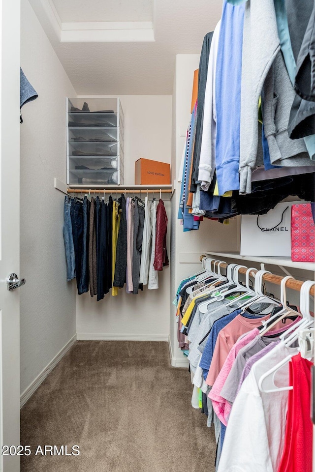 6621 S Balboa Dr, Gilbert, AZ 85298 - walk in closet with carpet