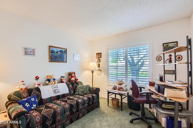 office with carpet and a textured ceiling