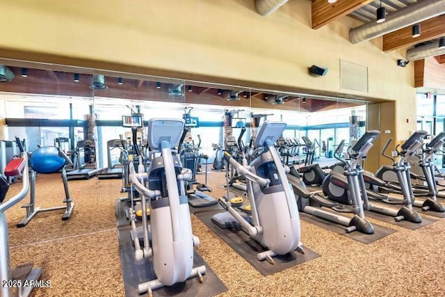 gym featuring a high ceiling