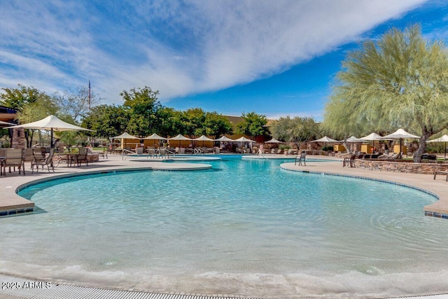 community pool featuring a patio