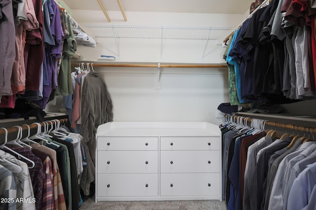 spacious closet featuring light carpet