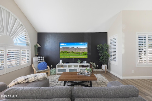 living room featuring wood-type flooring