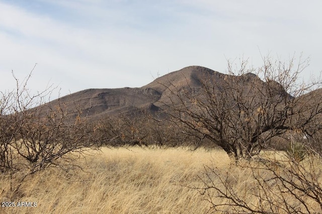 019B Copper Sky Rd Unit 6, Huachuca City AZ, 85616 land for sale