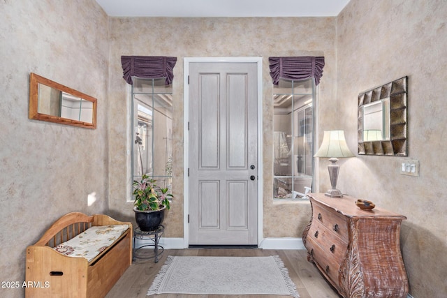 foyer featuring wood-type flooring