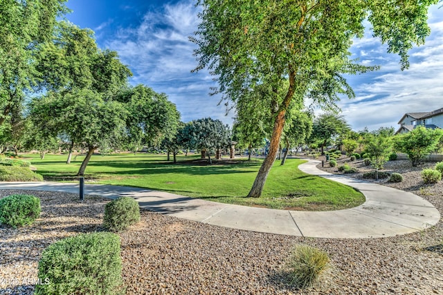 surrounding community featuring a yard